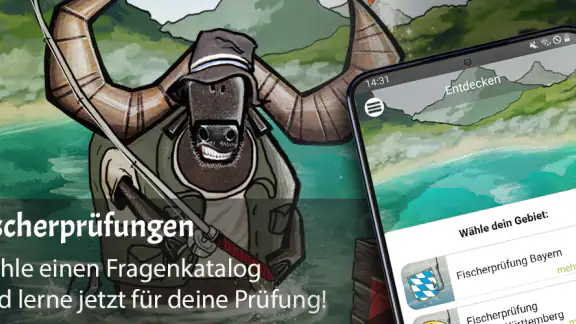 Büffeln Fischerprüfungen