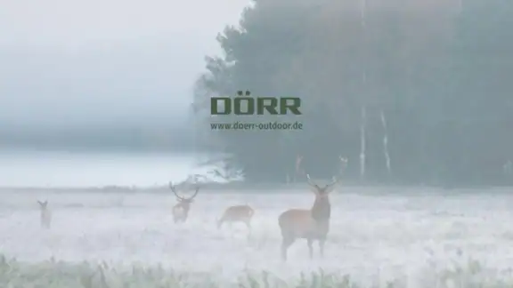Dörr Cloud