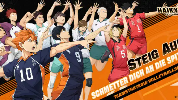 HAIKYU!! FLY HIGH