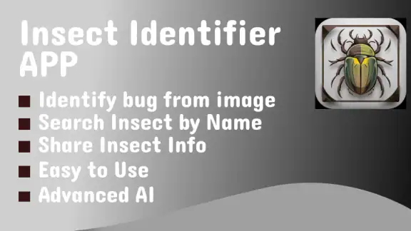Käfer & Insekten Bestimmen