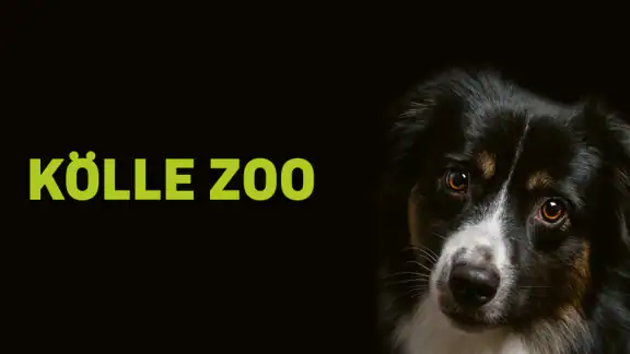 KÖLLE ZOO