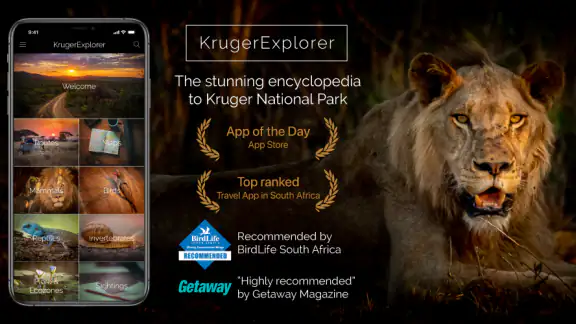 KrugerExplorer