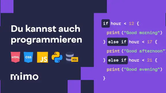 Mimo: Programmieren Lernen