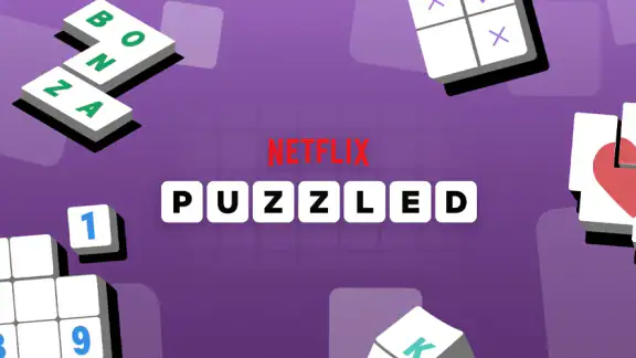 Netflix Puzzled
