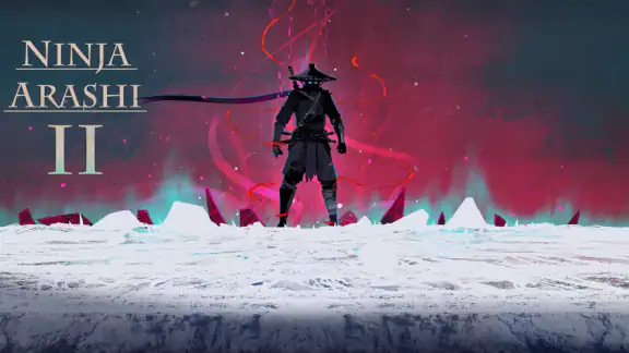 Ninja Arashi 2
