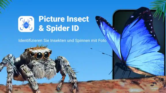 Picture Insect - Insekten ID