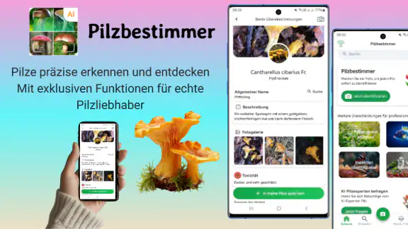 Pilzidentifikator