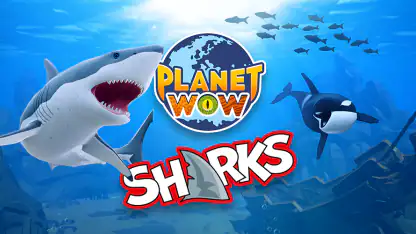 PLANET WOW® Sharks