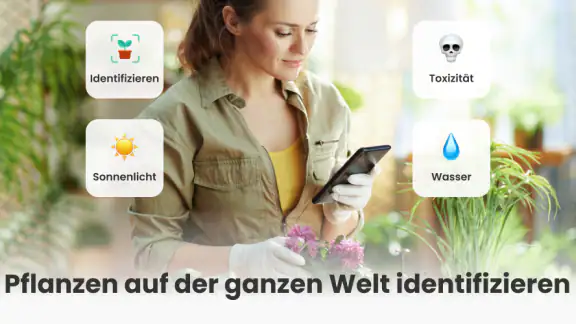 PlantCam: KI-Pflanzenerkennung