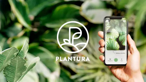 Plantura: Pflanzen & Garten