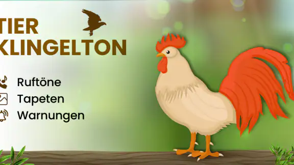 Tiergeräusche und Klingeltöne