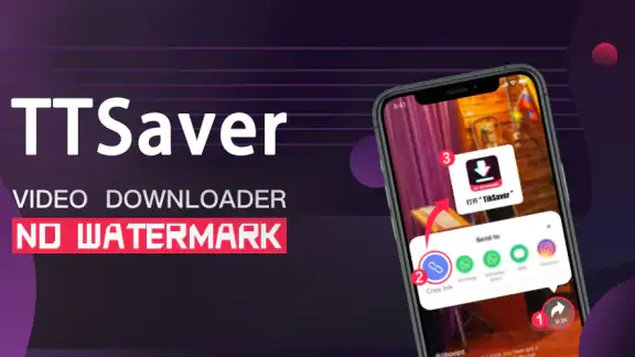 TT Video Downloader