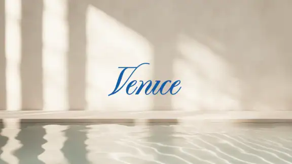 Venice AI