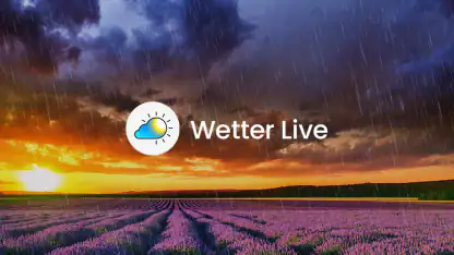 Wetter Live°