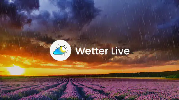 Wetter Live°