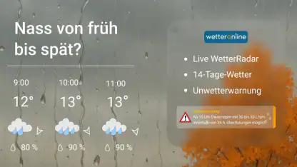 WetterOnline mit RegenRadar