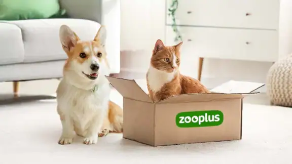 zooplus — Tierbedarf & mehr