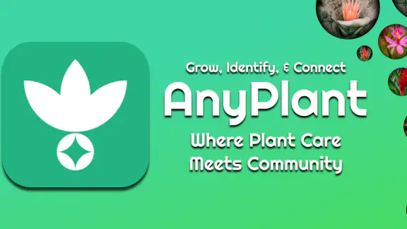 AnyPlant: AI Plant Identifier