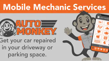 Auto Monkey