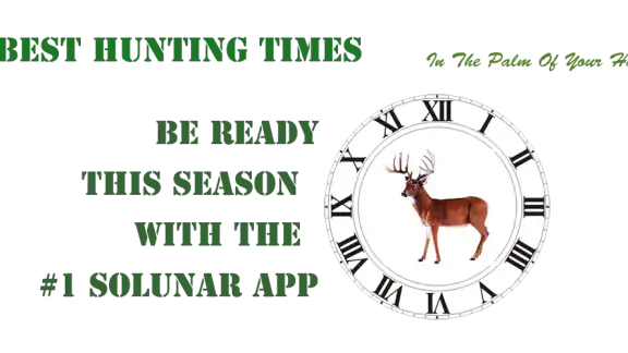 Best Hunting Times