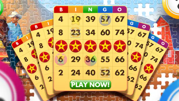 Bingo Country Boys: Tournament