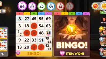 Bingo Diary