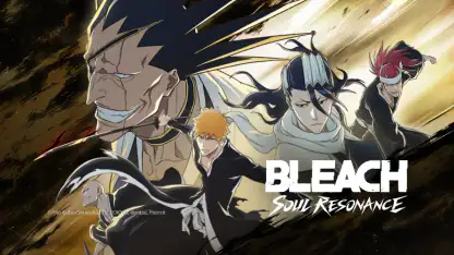BLEACH: Soul Resonance