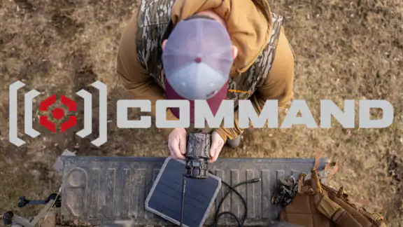 Command