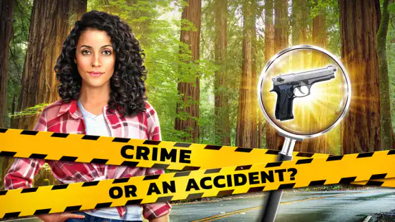 Crime Mysteries: Find objects