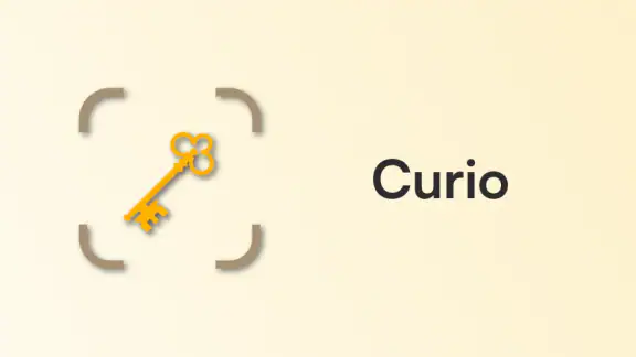Curio - Antique Identifier