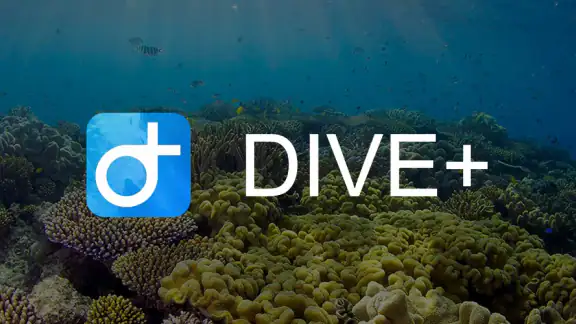 Dive+ : Diving Community
