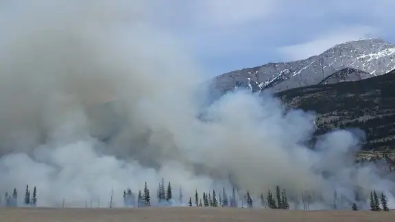 Fireguard Wildfire Tracker