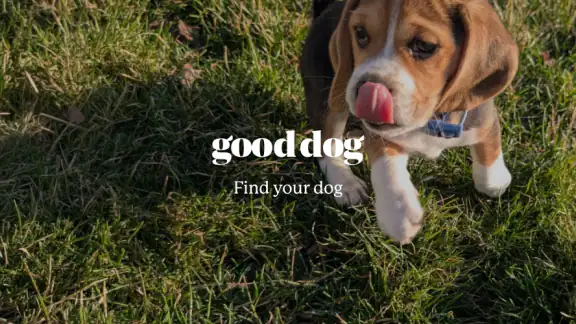 Good Dog: Find Your Puppy