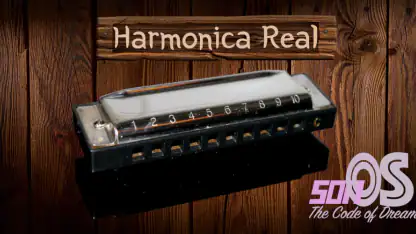 Harmonica Real