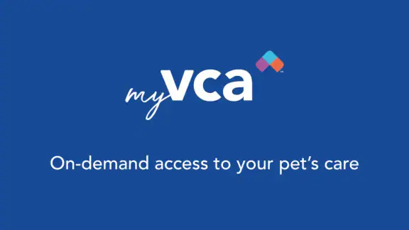 myVCA