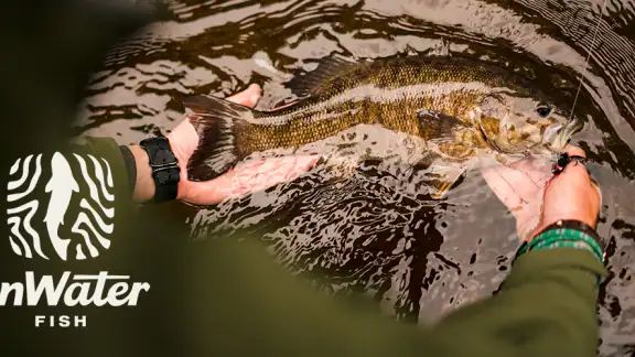 onWater Fish - Fishing Spots