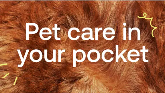 Pawp: 24/7 Vet & Pet Care