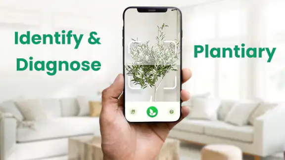 Plant Identifier: Plantiary
