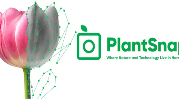 PlantSnap: Plant Identifier