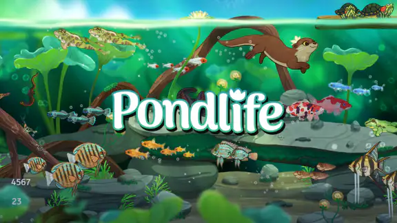 Pondlife — Fish, Frogs & More!
