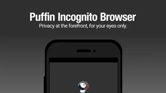 Puffin Incognito Browser