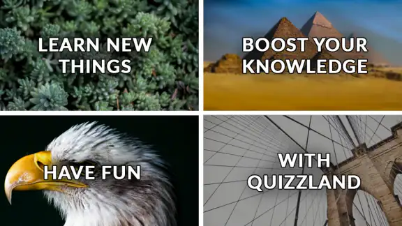 QuizzLand. Quiz & Trivia game