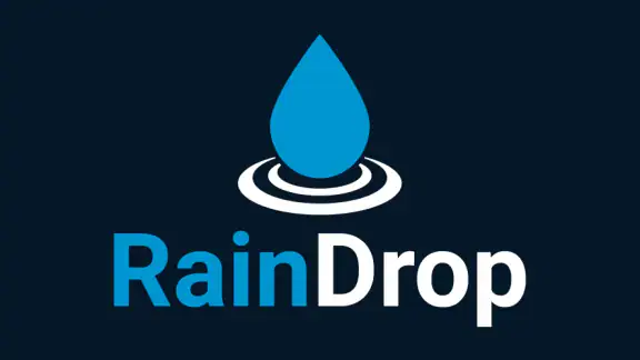 RainDrop: Virtual Rain Gauge