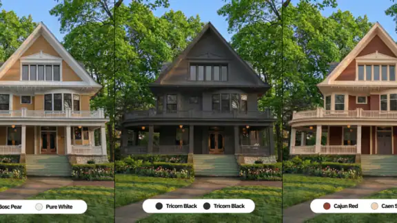 Repaint House Paint Visualizer