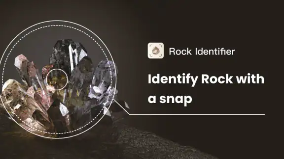 Rock Identifier: Stone ID