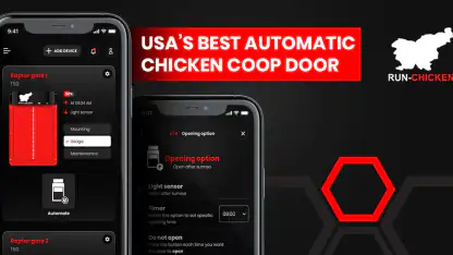 RUN-CHICKEN