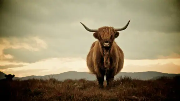 Scotland’s Best: Travel Guide