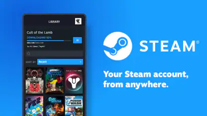 Steam