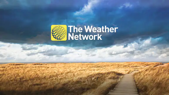 The Weather Network TV App