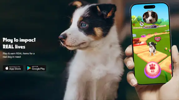TREAT: Play & impact REAL dogs
